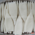 Iqf Frozen Calamari Squid Tube With 40% Glazing